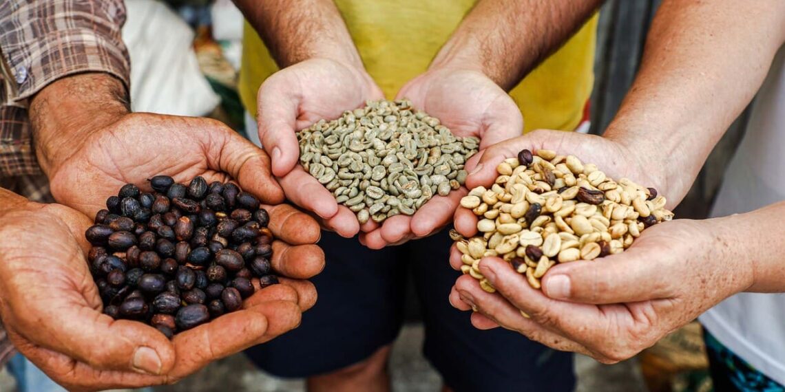 Foto: Gabriel Rosa/Arquivo AEN