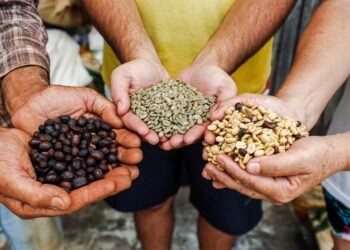 Foto: Gabriel Rosa/Arquivo AEN