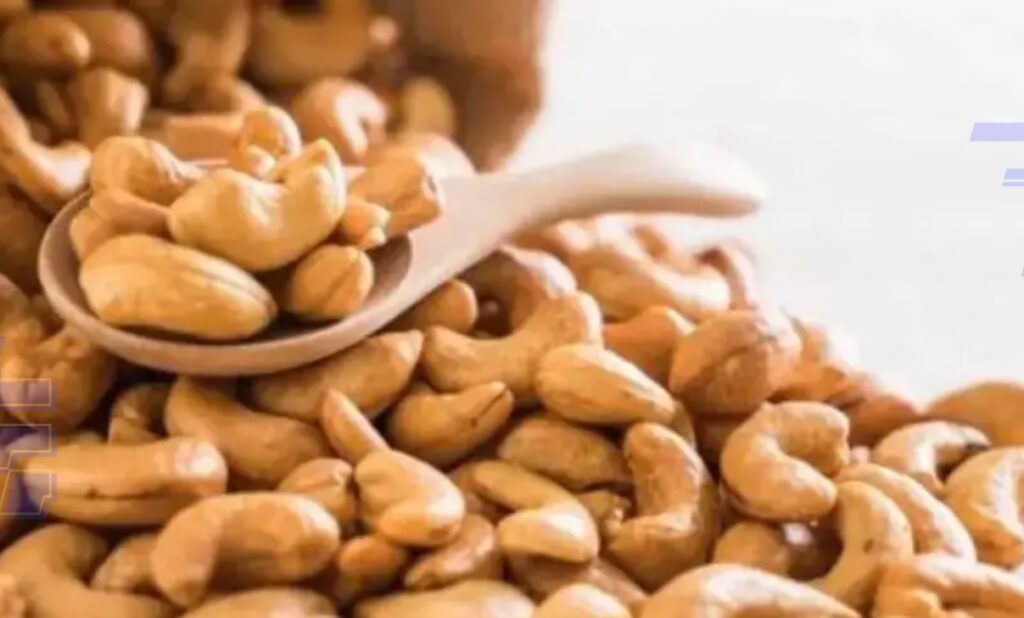 Primeira Indicação Geográfica da castanha de caju valoriza território potiguar e abre novas oportunidades ao RN