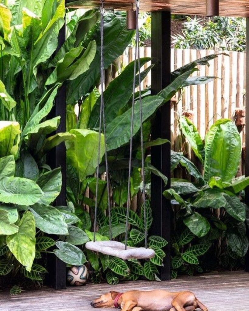 Cyclanthus bipartitus (Ciclanto): a exótica folhagem que conquista paisagistas