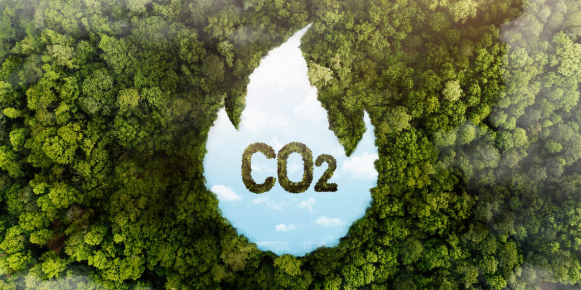 ABNT assume protagonismo na validação de créditos de carbono no Brasil