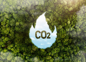 ABNT assume protagonismo na validação de créditos de carbono no Brasil