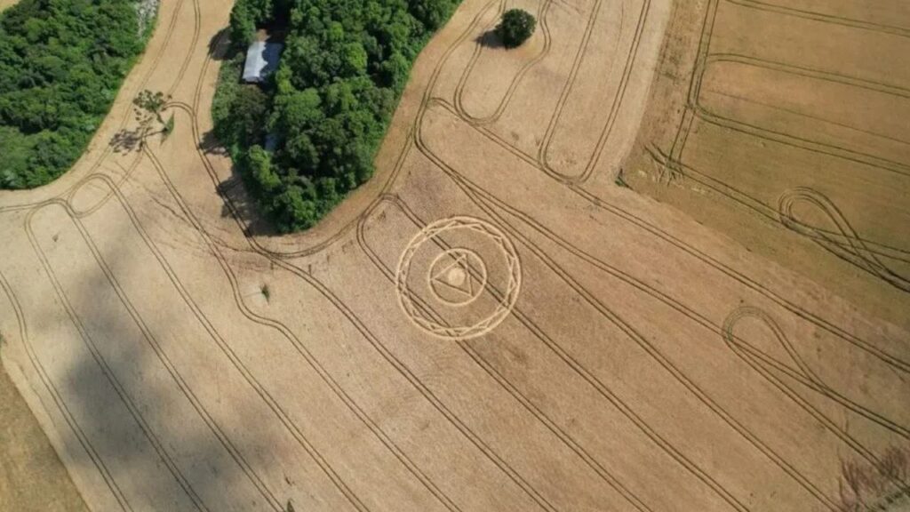 Círculos misteriosos ressurgem em plantação de trigo no interior de Santa Catarina