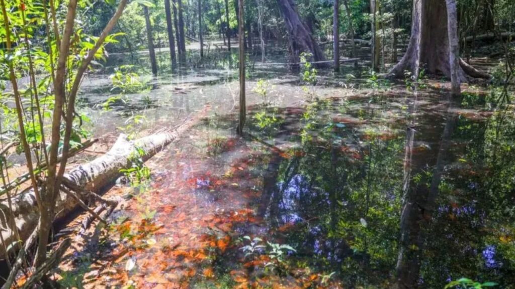 Dinossauros na Amazônia: novos vestígios revelam um capítulo inesperado da pré-história brasileira