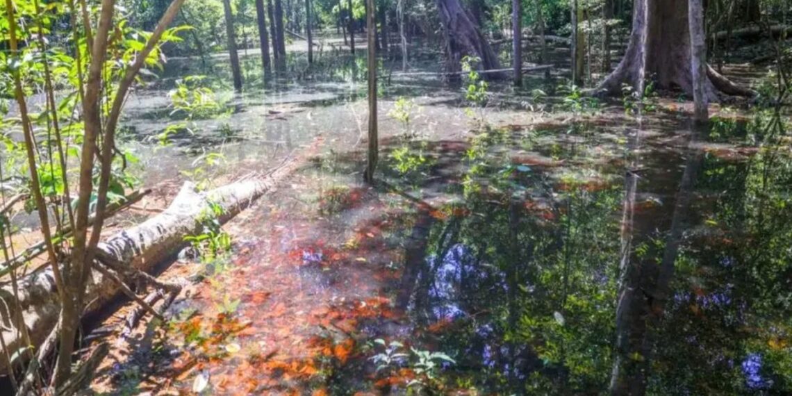 Foto: Agencia Brasil