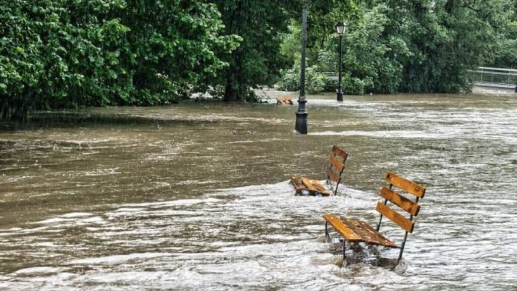 Quando as zonas temperadas começam a se parecer com os trópicos