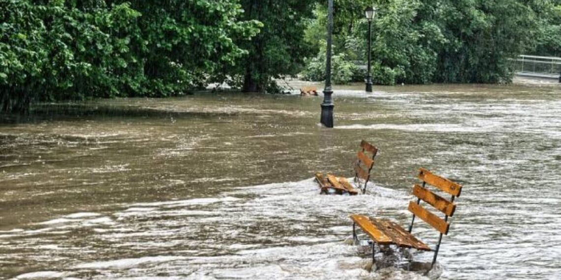 Quando as zonas temperadas começam a se parecer com os trópicos