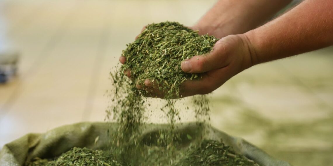 Foto: José Fernando Ogura/Arquivo AEN