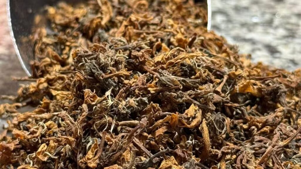 Flores do café se tornam matéria-prima de chás especiais