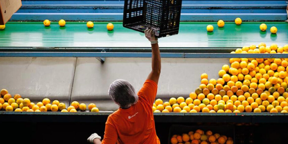 Imagem: Divulgação