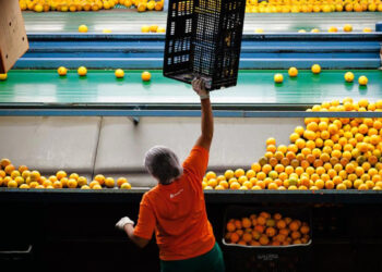 Imagem: Divulgação