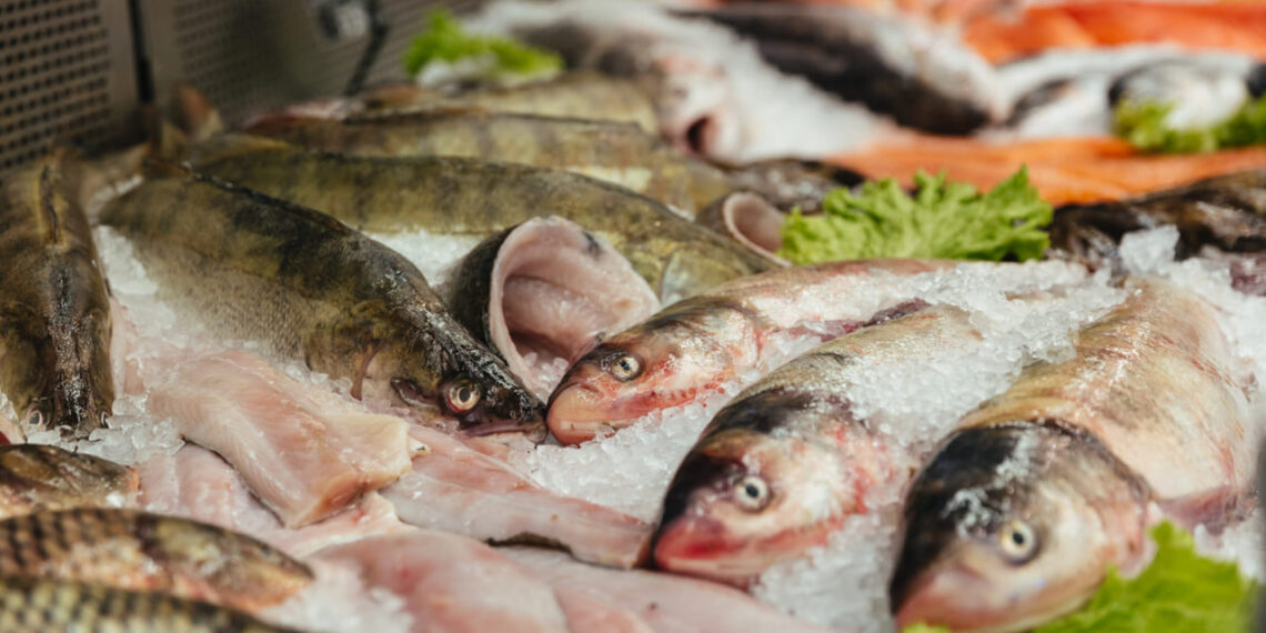 Brasil pode voltar a exportar pescados à União Europeia após auditoria em 2026