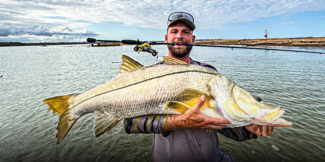 Reprodução: Instagram/Fishtv