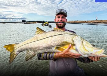 Reprodução: Instagram/Fishtv