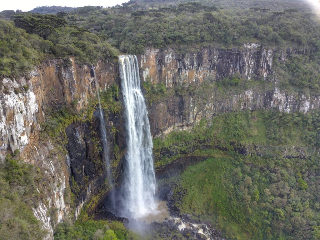 Do Pico Paraná ao Bosque do Papa: descubra os tesouros naturais dos parques estaduais