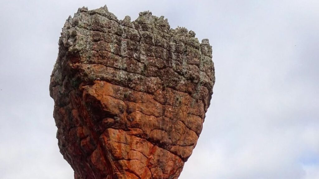 Do Pico Paraná ao Bosque do Papa: descubra os tesouros naturais dos parques estaduais