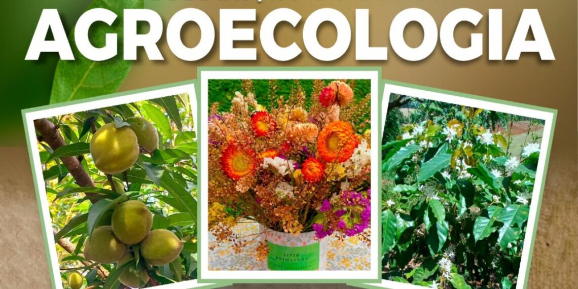 CATI promove ‘Encontro de Agroecologia’ em Nazaré Paulista