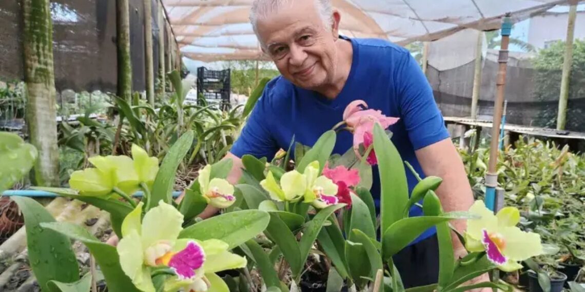 Aposentado transforma hobby em fonte de renda e se reinventa aos 57 anos