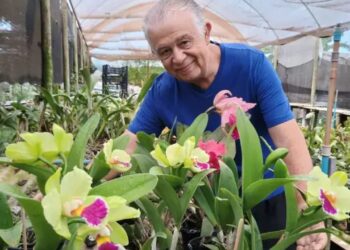 Aposentado transforma hobby em fonte de renda e se reinventa aos 57 anos