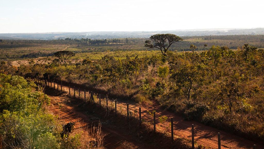 Reserva Ecológica do IBGE celebra 50 anos com evento especial em dezembro