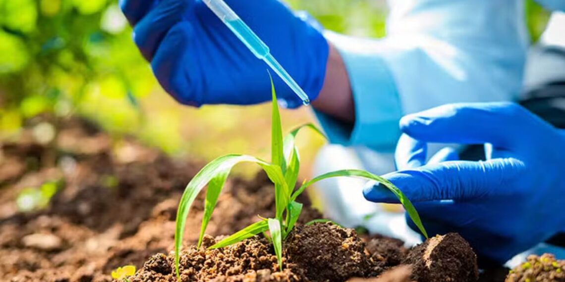 Biológicos e soluções climáticas devem liderar a nova onda de inovação no agro em 2026