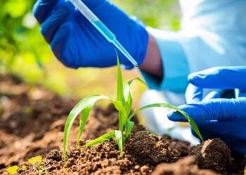 Biológicos e soluções climáticas devem liderar a nova onda de inovação no agro em 2026