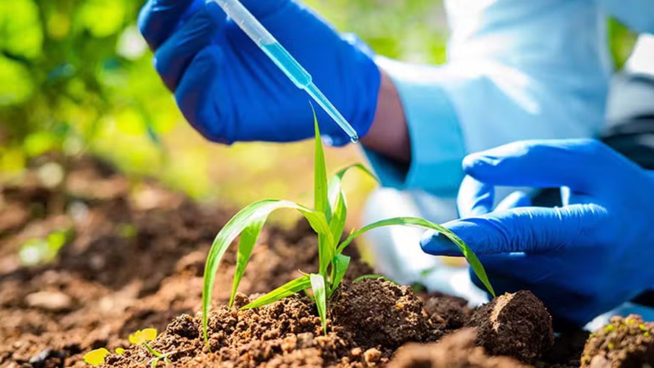 Biológicos e soluções climáticas devem liderar a nova onda de inovação no agro em 2026