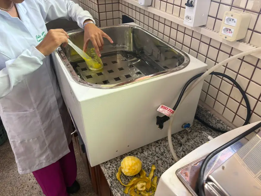 Milho e laranja viram bioplástico no Amapá