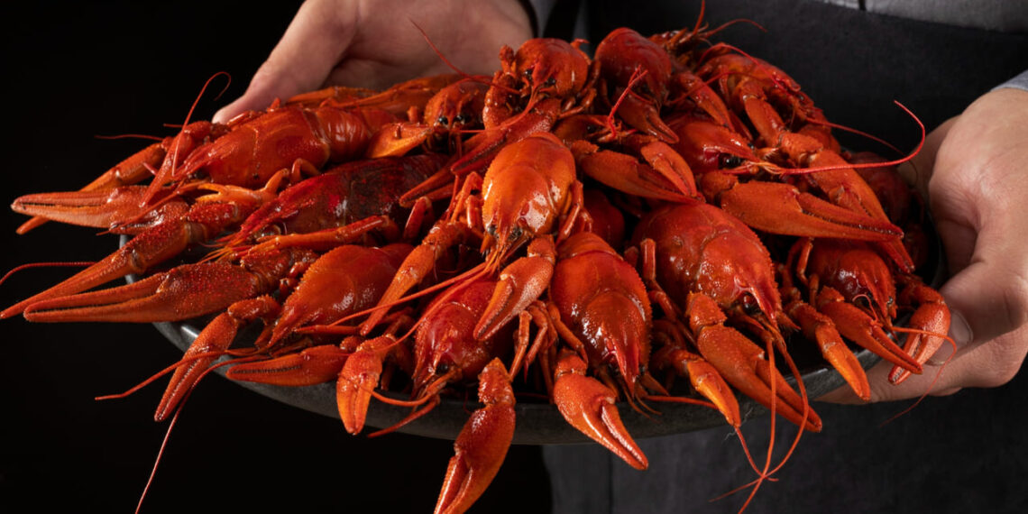 Estudantes baianos criam fertilizante sustentável a partir de caranguejo