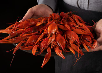 Estudantes baianos criam fertilizante sustentável a partir de caranguejo