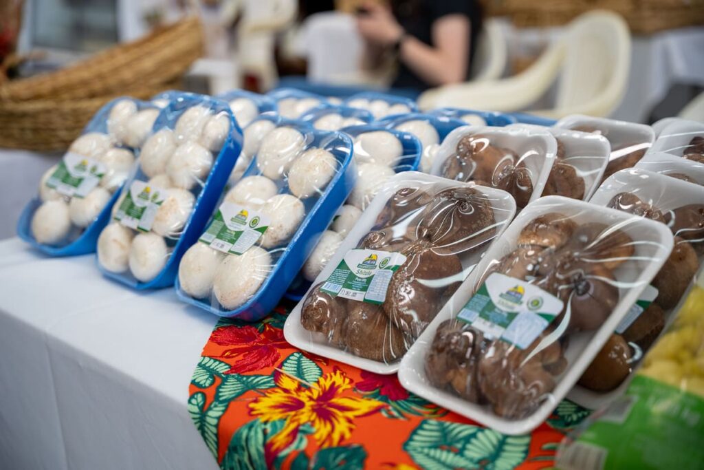 Paraná consolida protagonismo e quase mil toneladas de cogumelos impulsionam nova fase da produção estadual