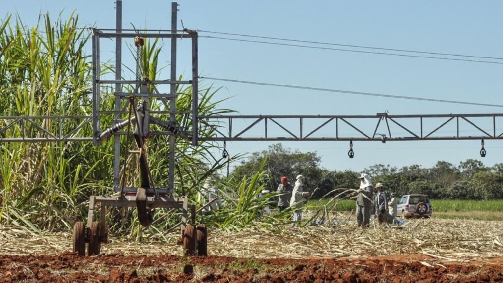 Cinco décadas de ciência moldaram a nova agricultura irrigada do Cerrado