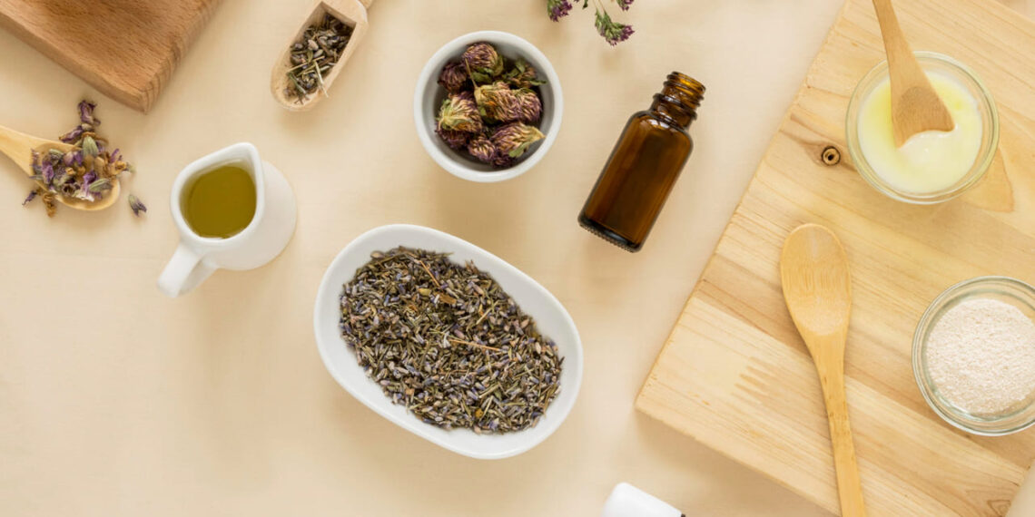 Anvisa redefine regras para fitoterápicos e abre nova fase para medicamentos de origem vegetal no Brasil