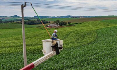 Paraná conclui maior modernização elétrica rural do Brasil e transforma a infraestrutura do campo