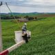 Paraná conclui maior modernização elétrica rural do Brasil e transforma a infraestrutura do campo
