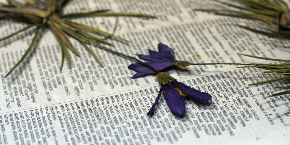 Foto: Denis Pacheco/USP Imagens