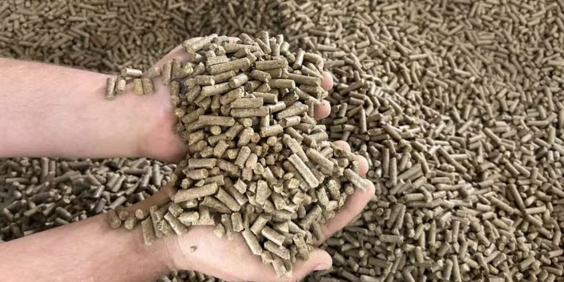 Foto: Geraldo Aureliano/Sakey