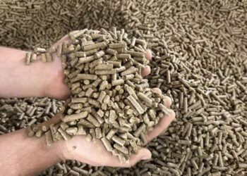 Foto: Geraldo Aureliano/Sakey