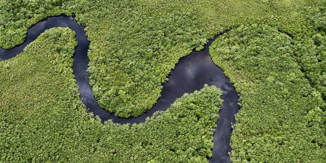 Foto: Denis Ferreira Netto/SEDEST