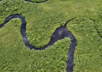 Foto: Denis Ferreira Netto/SEDEST