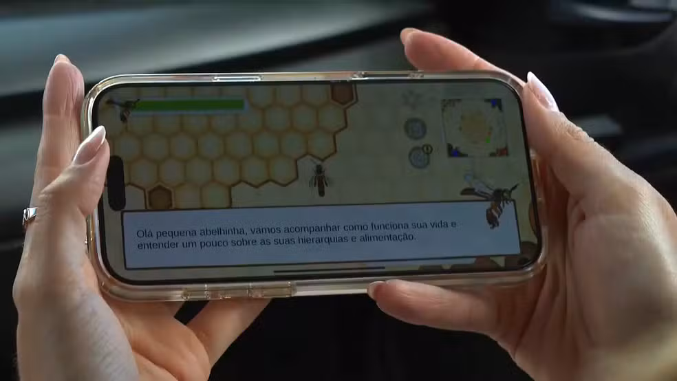 Uruçu-capixaba: a abelha sem ferrão exclusiva do Espírito Santo que sustenta florestas e lavouras