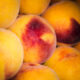 Supersafra de pêssego no RS leva Conab a anunciar R$ 4 milhões em compras públicas