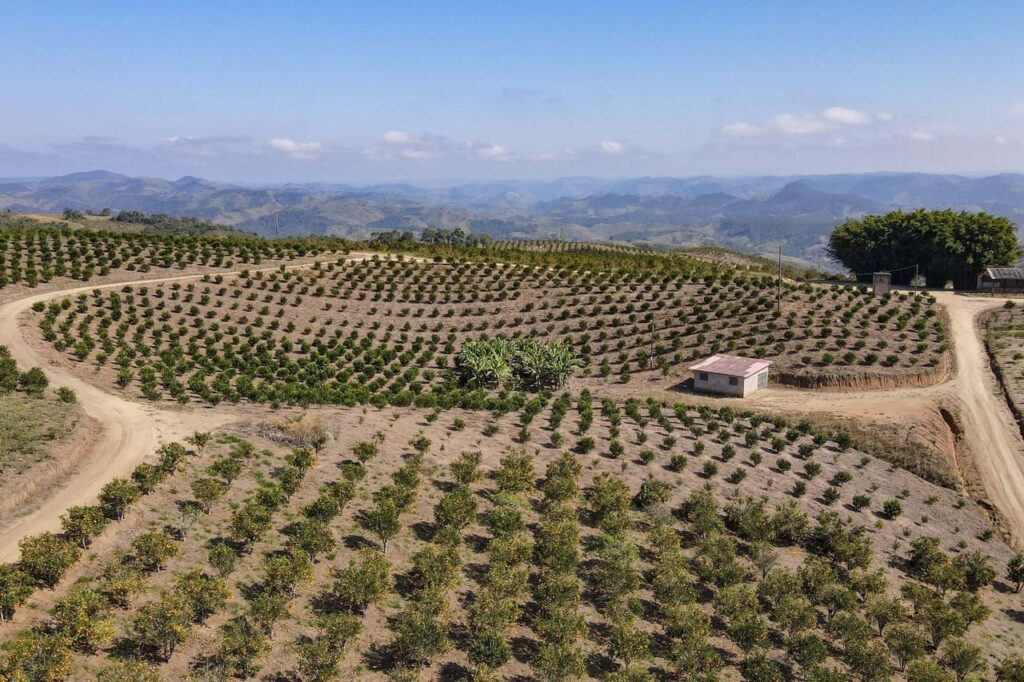 Paraná em Números: o painel que revela a força econômica e agrícola do Estado