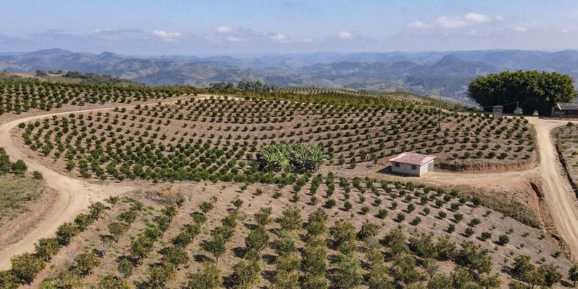 Foto: Gilson Abreu/Arquivo AEN