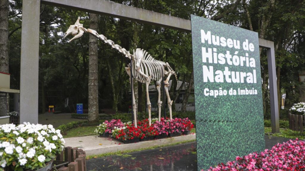 Museu transforma férias em aventura científica para crianças em Curitiba