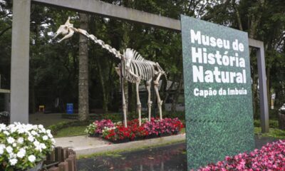 Museu transforma férias em aventura científica para crianças em Curitiba