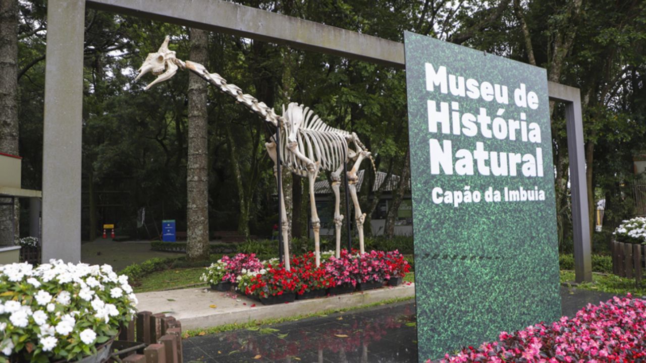 Museu transforma férias em aventura científica para crianças em Curitiba