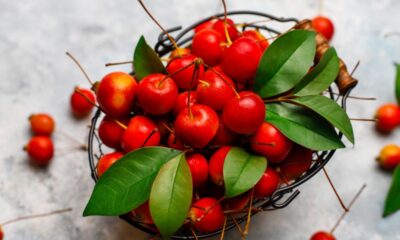 Capital paulista da acerola vive momento delicado na safra atual