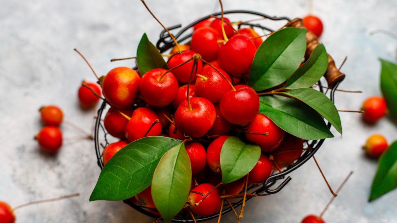 Capital paulista da acerola vive momento delicado na safra atual