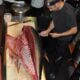 Atum bluefin, o tesouro dos mares que custa milhões
